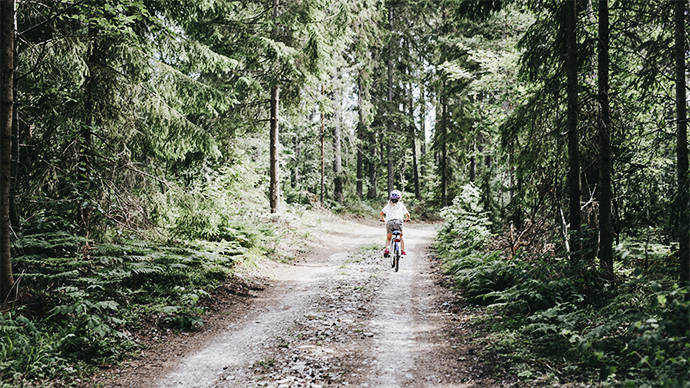 Barn cyklar på skogsväg