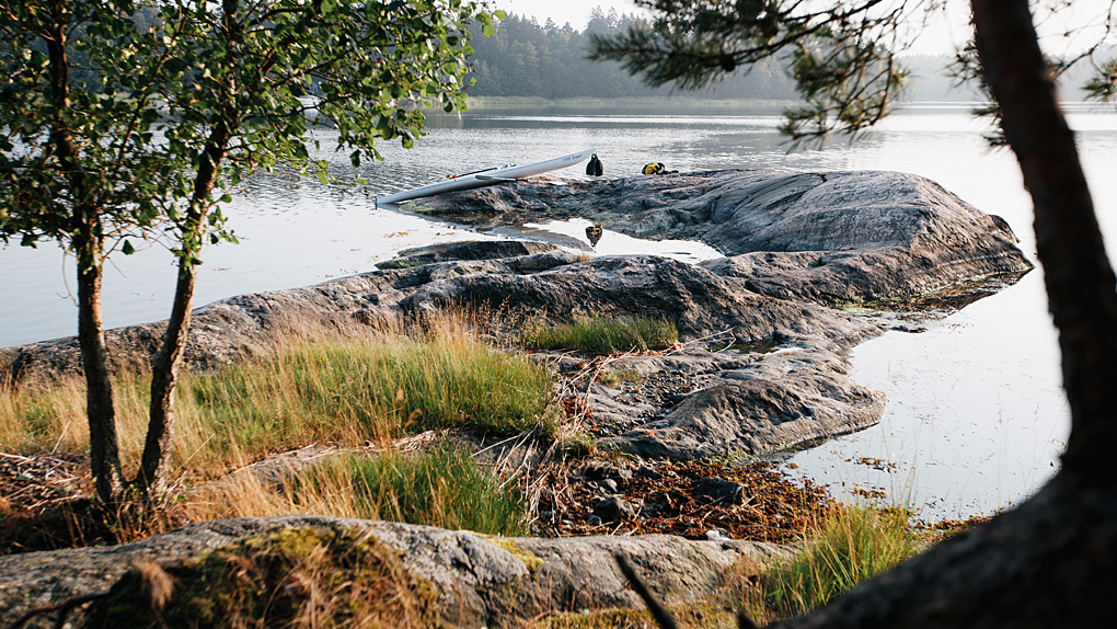Bild på en strandmiljö
