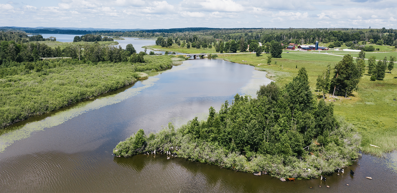 Landskap ovanifrån